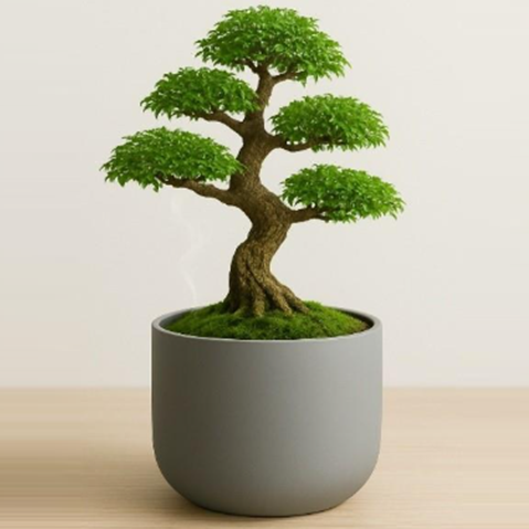 Smart Baum Home Plus